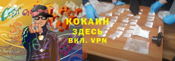 дмт Костерёво