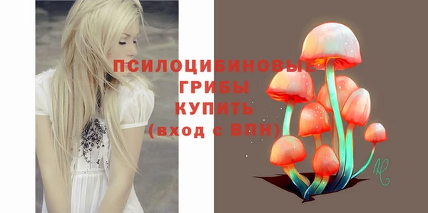 Альфа ПВП Армянск