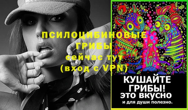 Альфа ПВП Армянск
